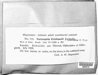 Image Associated With the Occurence